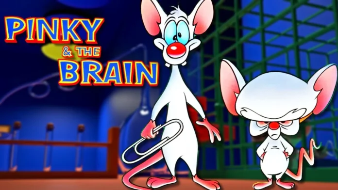 Pinky-And-Brain