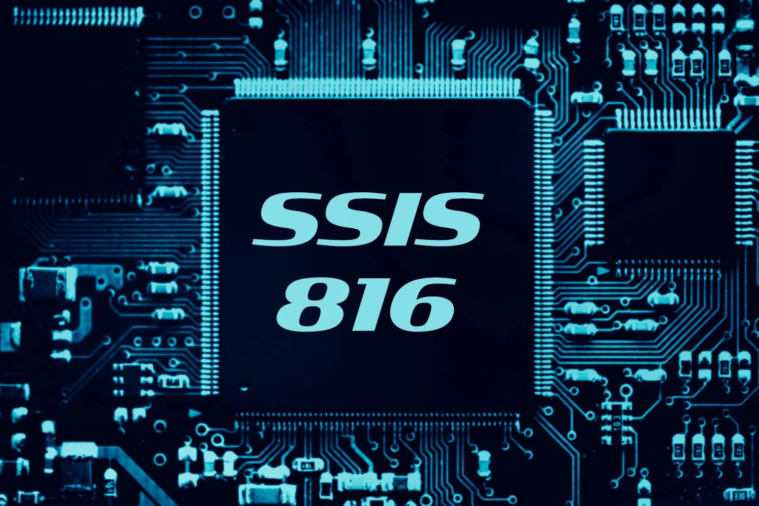 Role-SSIS-816-Modern-Technology